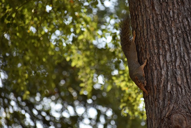 包容世界各 包容世界各