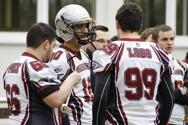 安赛龙作为 安赛龙作为