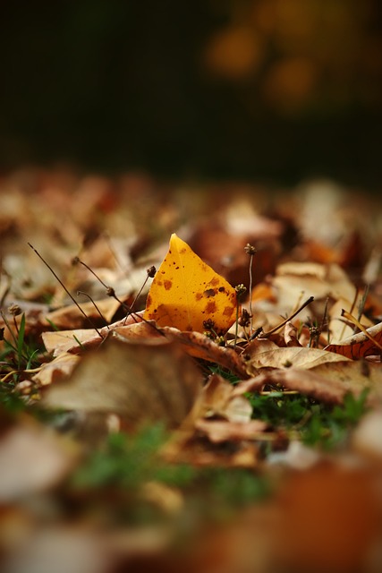 格的环保标 格的环保标