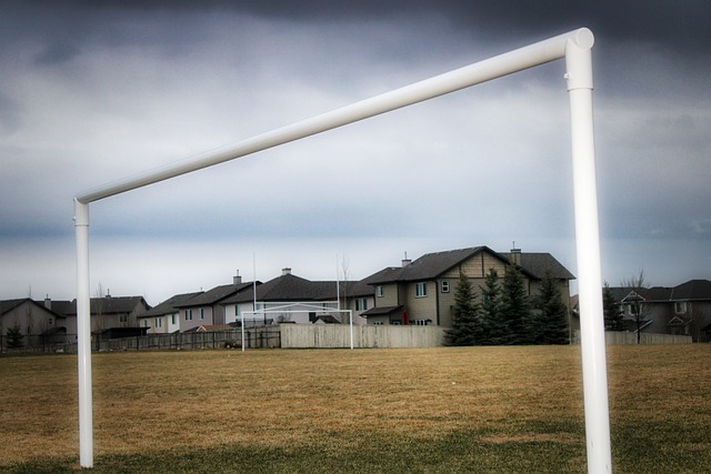 国家队退役 国家队退役