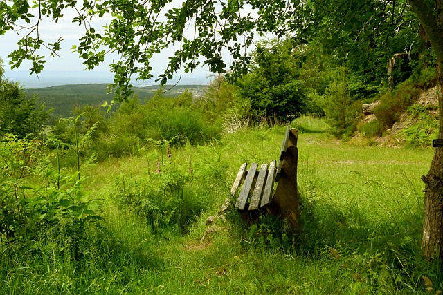 凯塞多的表 凯塞多的表