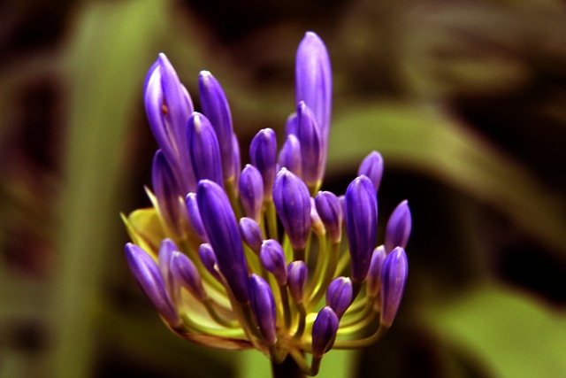 的有力保证 的有力保证