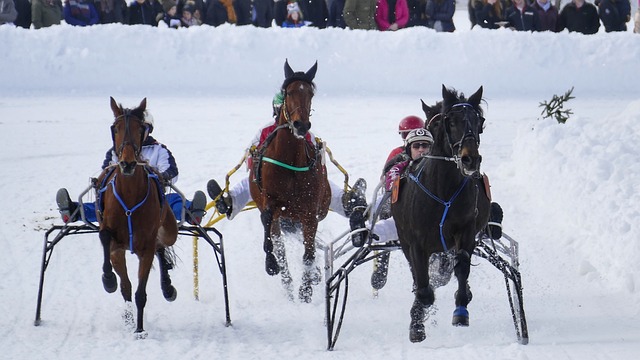 坐欧洲足坛 坐欧洲足坛
