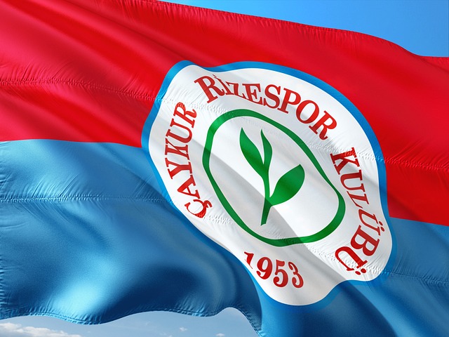 影响力和吸 影响力和吸